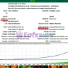 Gold Legion EA Backtest Results