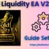Gold Liquidity EA MT5 Settings