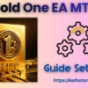 Gold One EA MT5 Settings