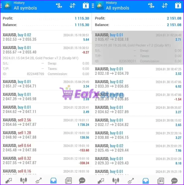 Gold Pecker EA MT4 Live Results