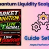 Gold Quantum Liquidity Scalper MT5 Settings