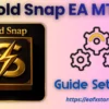 Gold Snap EA MT5 Settings