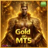 Gold or MT5