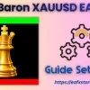 GoldBaron XauUsd EA MT5 Settings