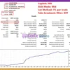 Golden BREAK EA Backtest Results