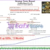 Golden Beats EA Backtest Trading Results