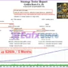Golden Beats EA Backtests Results