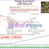Golden Beats EA Backtests Trading Results