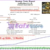 Golden Beats EA MT4 Backtest Trading Results