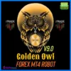 Golden Owl v9 EA