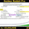 Golden Rabbit Pro EA MT5 Backtest