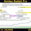 Golden Rabbit Pro MT5 Backtest