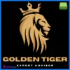 Golden Tiger EA