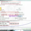 Goldex AI MT5 Backtest Trading Results