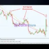 Gorilla Signals Systems Review