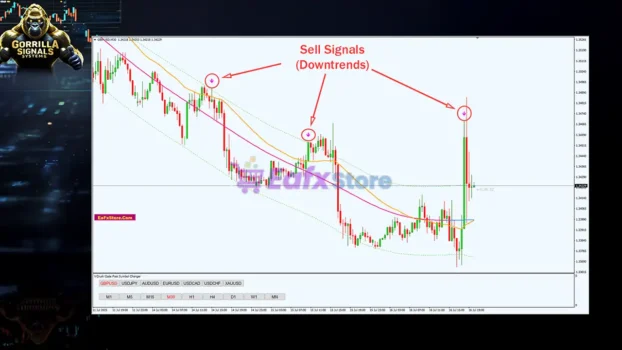 Gorilla Signals Systems Review
