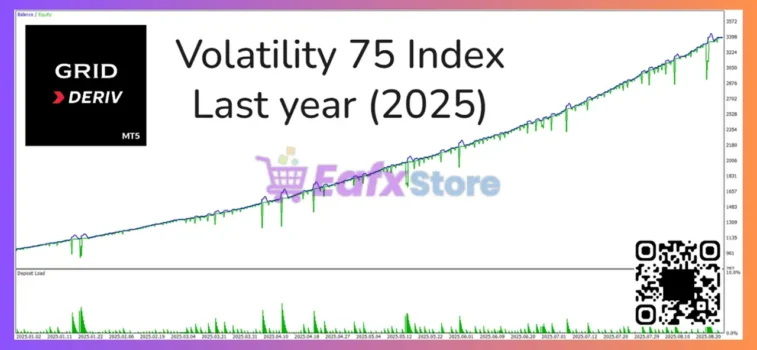 Grid Deriv EA MT5 Backtests