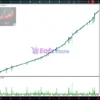 Grid Volatility EA MT5 Review