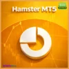 Hamster MT5 EA