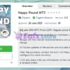 Happy Pound MT5 Overview
