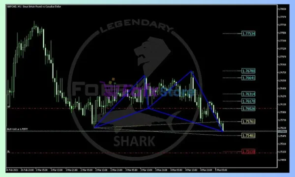 Harmonic EA MT4 Trading Results