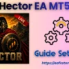 Hector EA MT5 Settings