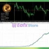 Hephaestus EA MT5 Review