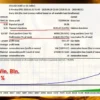 IQ Gold EA Backtest Results