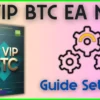IS VIP BTC EA settings
