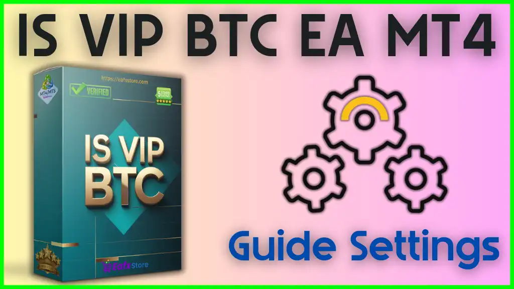 IS VIP BTC EA settings