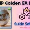 IS VIP Golden EA Settings