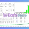 Icona EA MT5 Backtests Trading Results
