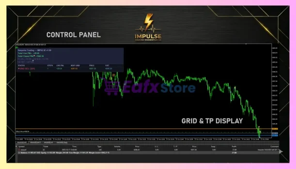 Impulse MT5 Review