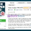 Index Scalper PRO MT5 Overview