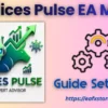 Indices Pulse EA MT5 Settings