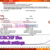 Intensive EA Backtest Results