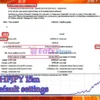 Intensive EA MT4 Backtest Results
