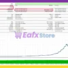 Jackal EA MT5 Backtest Results