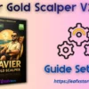 Javier Gold Scalper V2 EA Settings