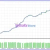 Kiti Cat EA Backtest