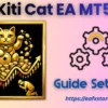 Kiti Cat EA MT5 Settings