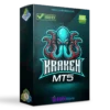 Kraken MT5