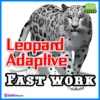 LeopardAdaptive EA