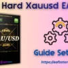 Level Hard Xauusd EA Settings