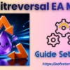 Limitreversal EA MT4 Settings