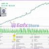 Lion King EA Backtest Results