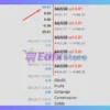Lizard EA MT5 Trading Results