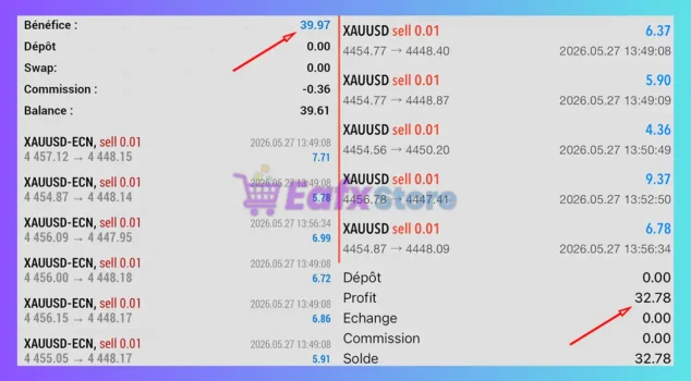 Lizard EA MT5 Trading Results