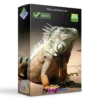 Lizard Scalper Pro EA MT4