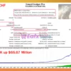 Lizard Scalper Pro EA MT4 Backtest Results